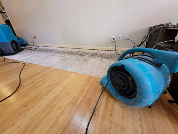 Professional Structural Drying technician working in Aberdeen, MD